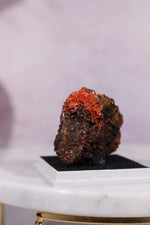 Crocoite Specimen, Australia 5.5x3cm, Sold As Seen Tali & Loz Crystals