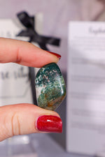 Crystal Set For Serenity Tali & Loz Crystals