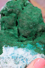 Crystallised Malachite Specimen | 10.4cm | DRC Minerals Tali & Loz Crystals