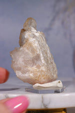 Crystallised Rose Quartz with Smoky Elestial Quartz | 60mm Minerals Tali & Loz Crystals