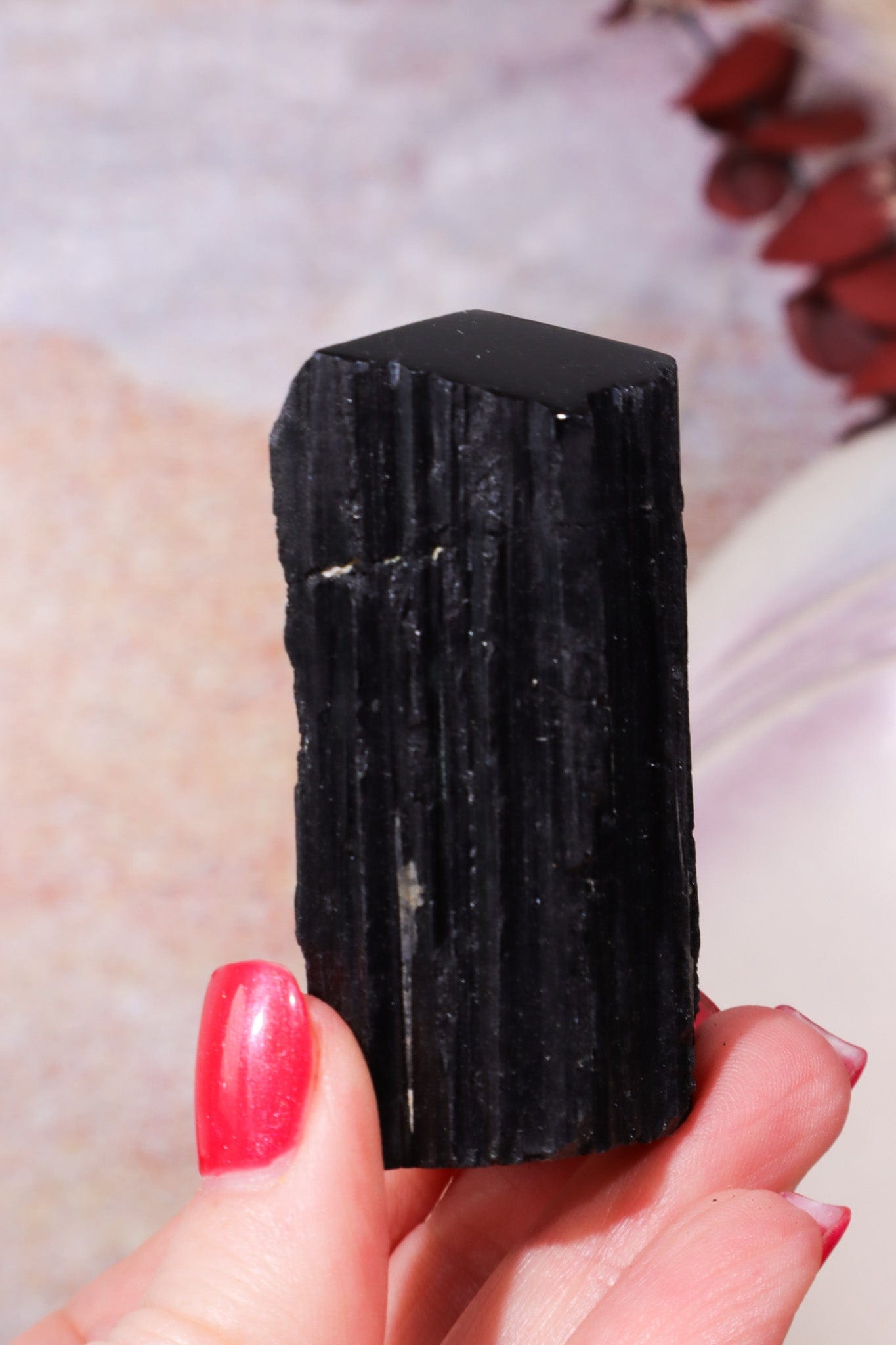 Cut Base Black Tourmaline Points| Intuitively Chosen Rough Crystals Tali & Loz Crystals