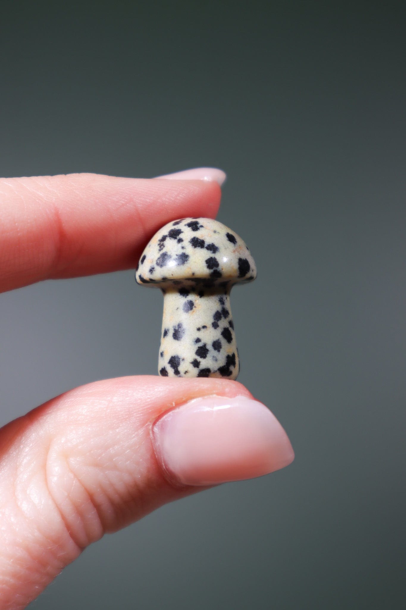 Dalmatian Jasper Mushrooms 20mm Mushrooms Tali & Loz