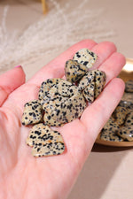 Dalmatian Jasper Tumblestones 20-30mm - Tali & Loz Crystals