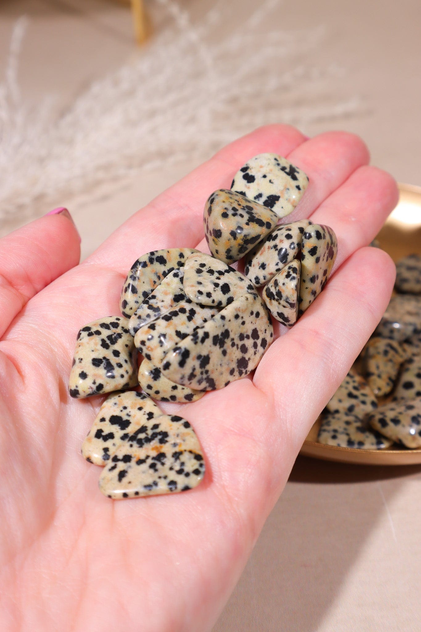 Dalmatian Jasper Tumblestones 20-30mm - Tali & Loz Crystals