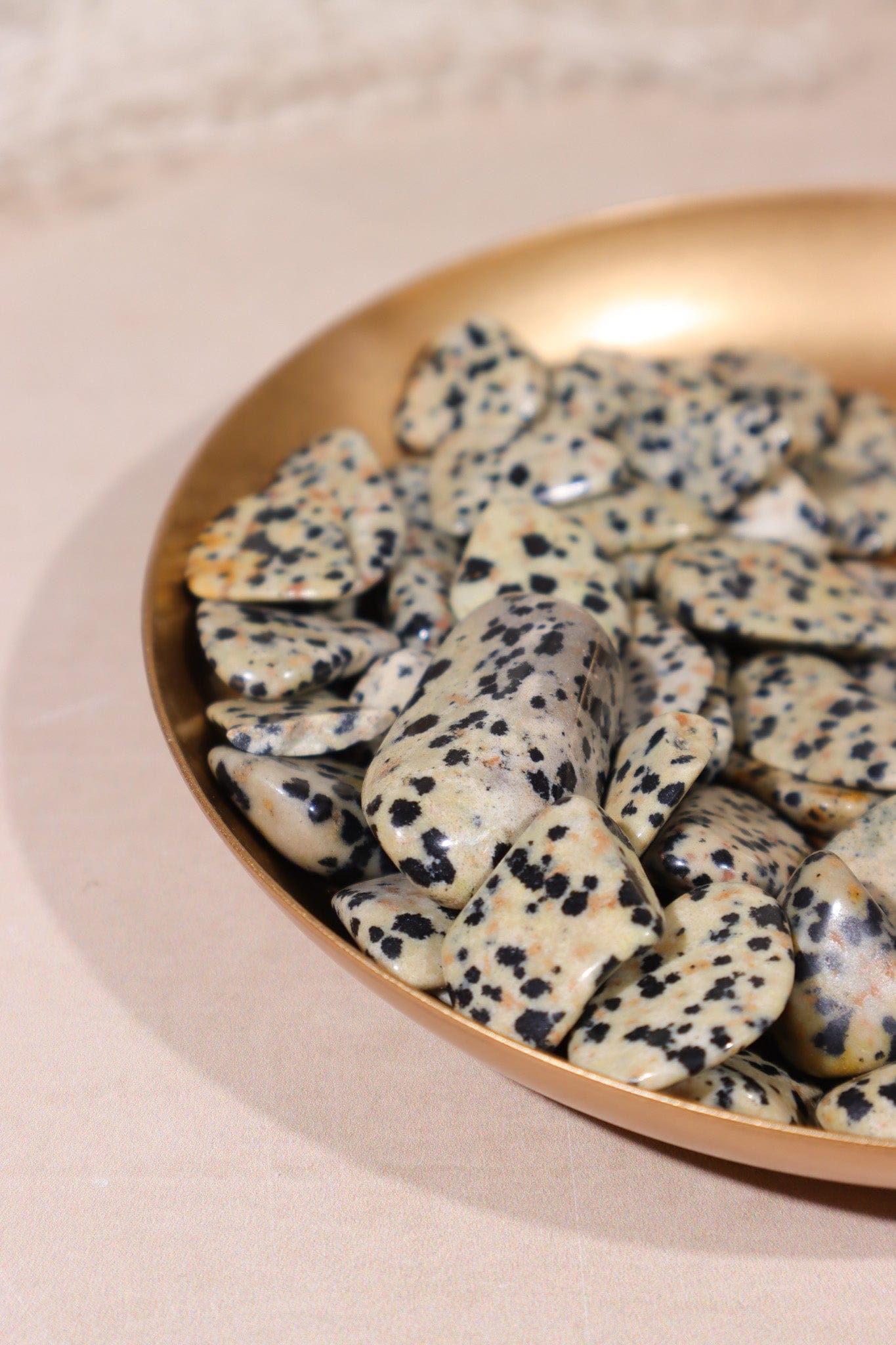Dalmatian Jasper Tumblestones 20-30mm - Tali & Loz Crystals