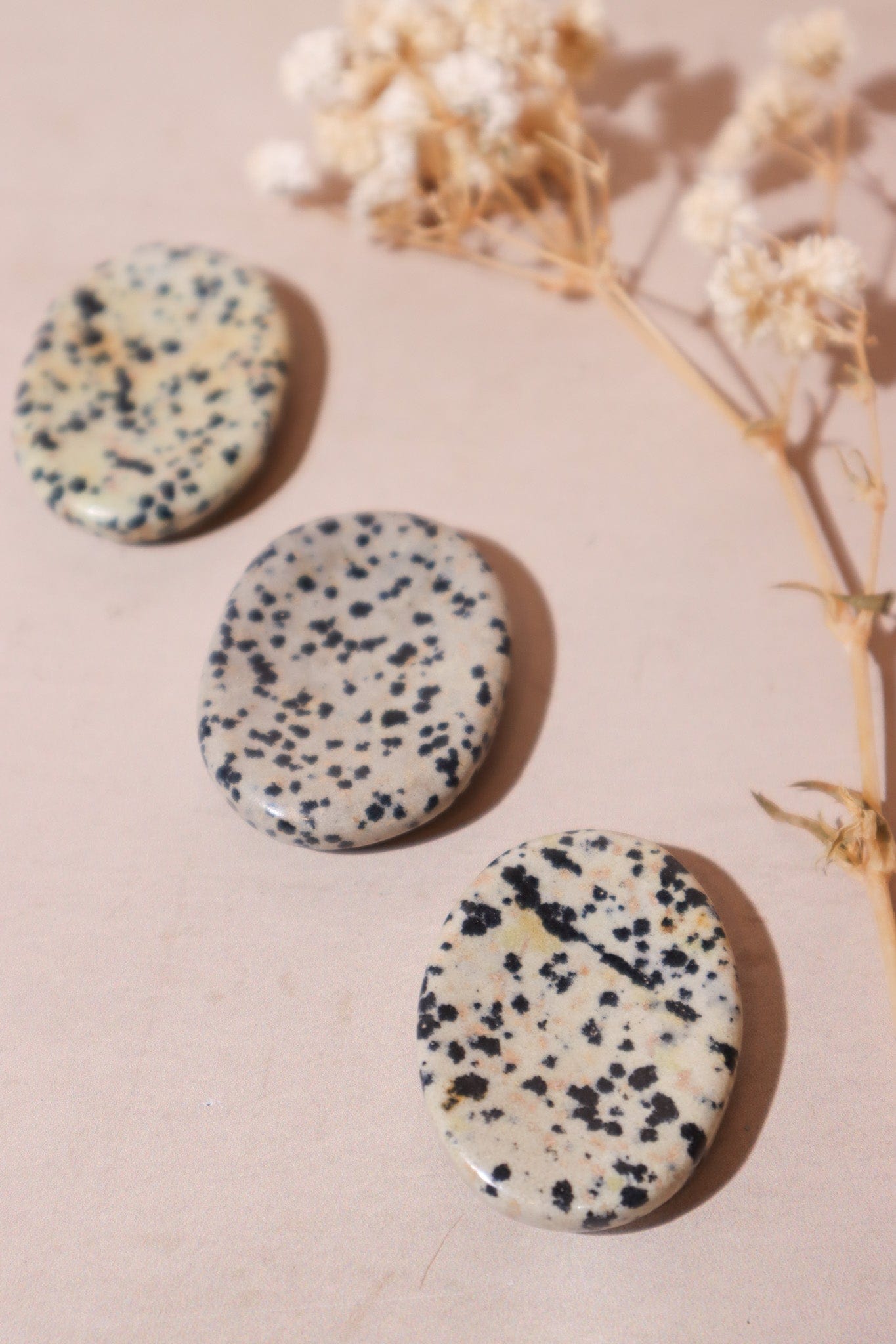 Dalmatian Jasper Worry Stones Palm Stones Tali & Loz