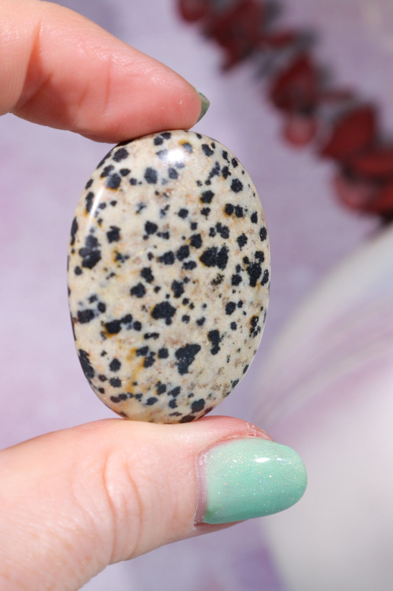Dalmatian Jasper Worry Stones Palm Stones Tali & Loz Crystals