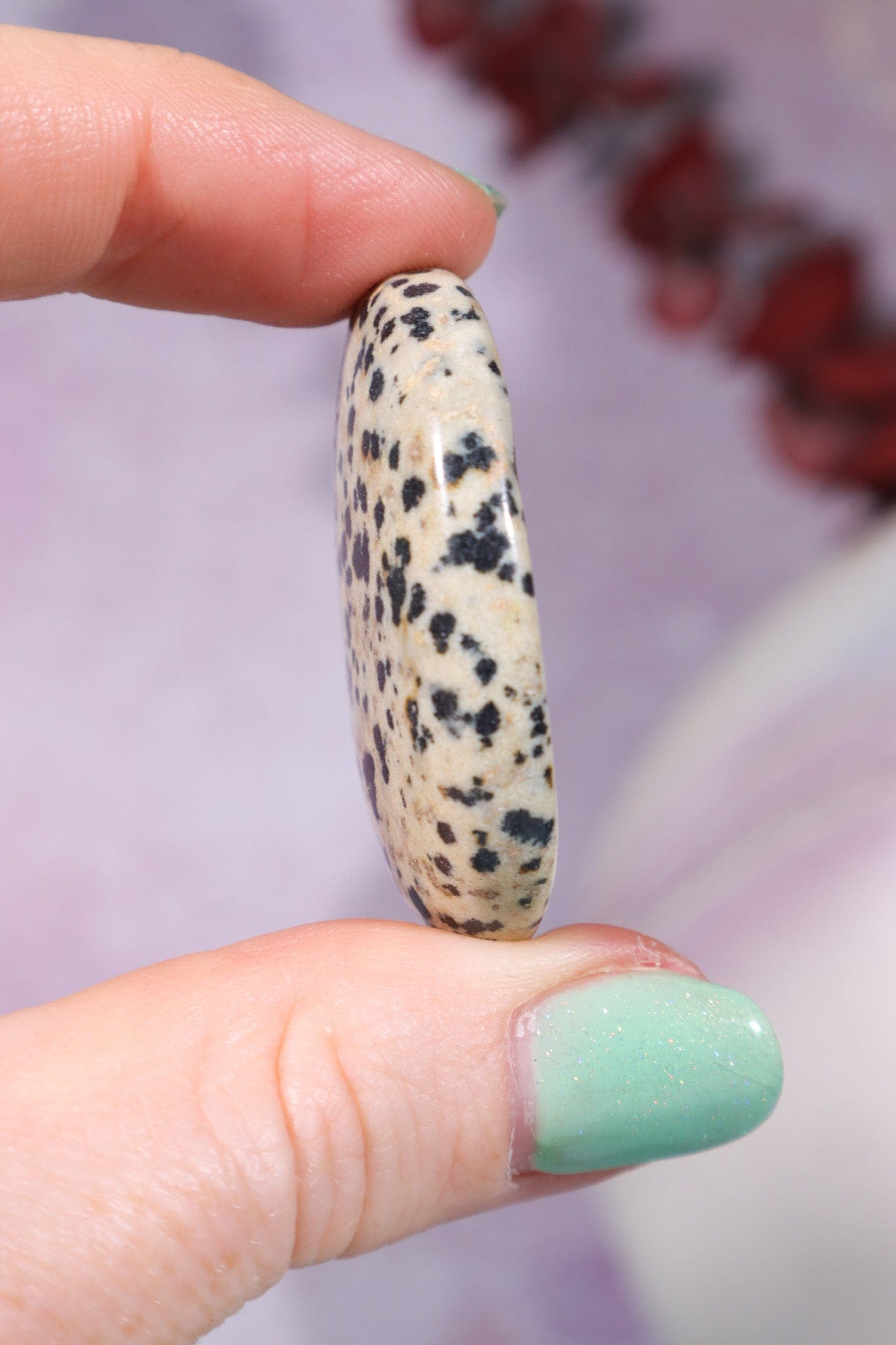 Dalmatian Jasper Worry Stones Palm Stones Tali & Loz Crystals