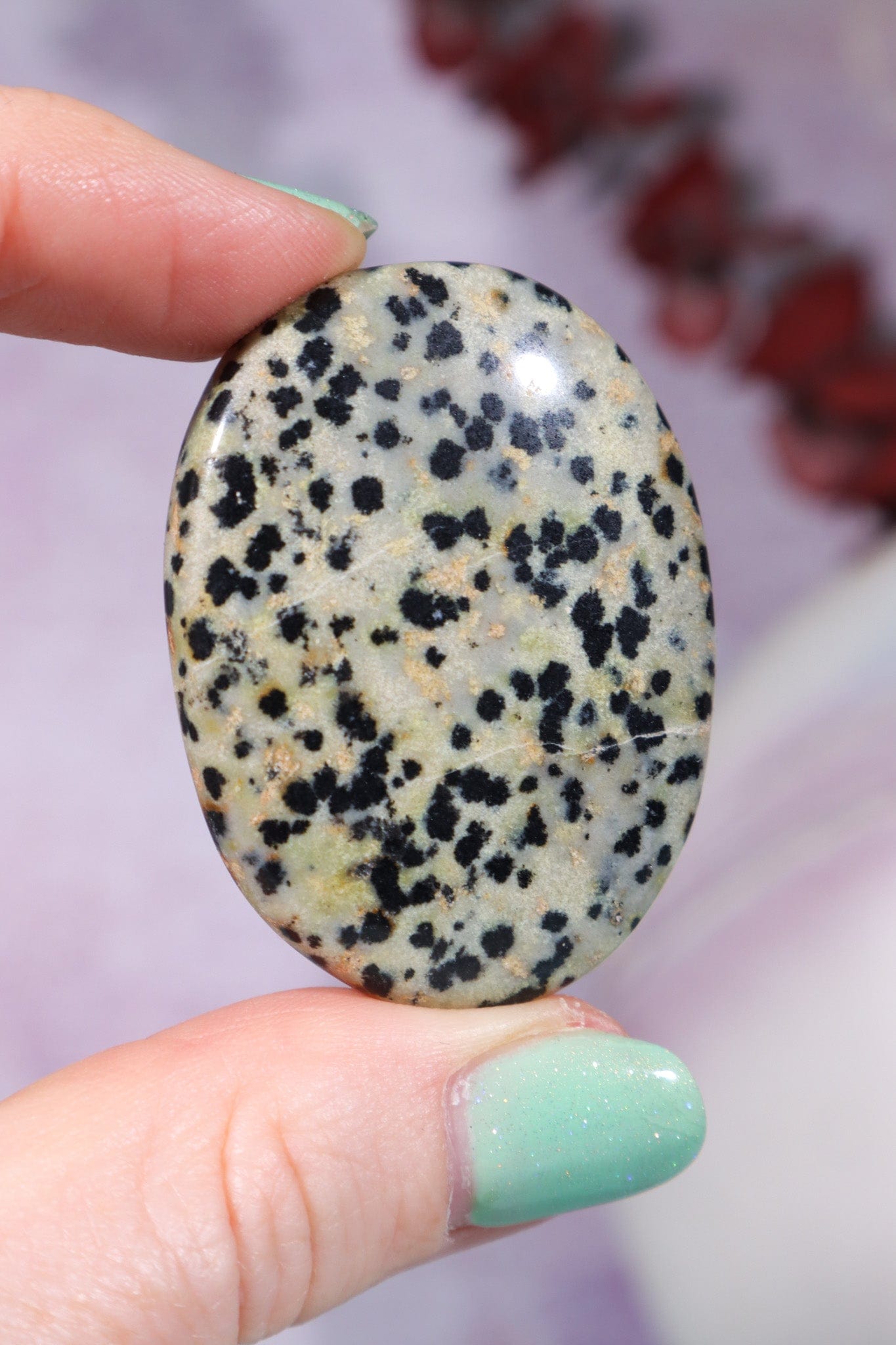 Dalmatian Jasper Worry Stones Palm Stones Tali & Loz Crystals