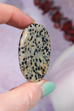 Dalmatian Jasper Worry Stones Palm Stones Tali & Loz Crystals