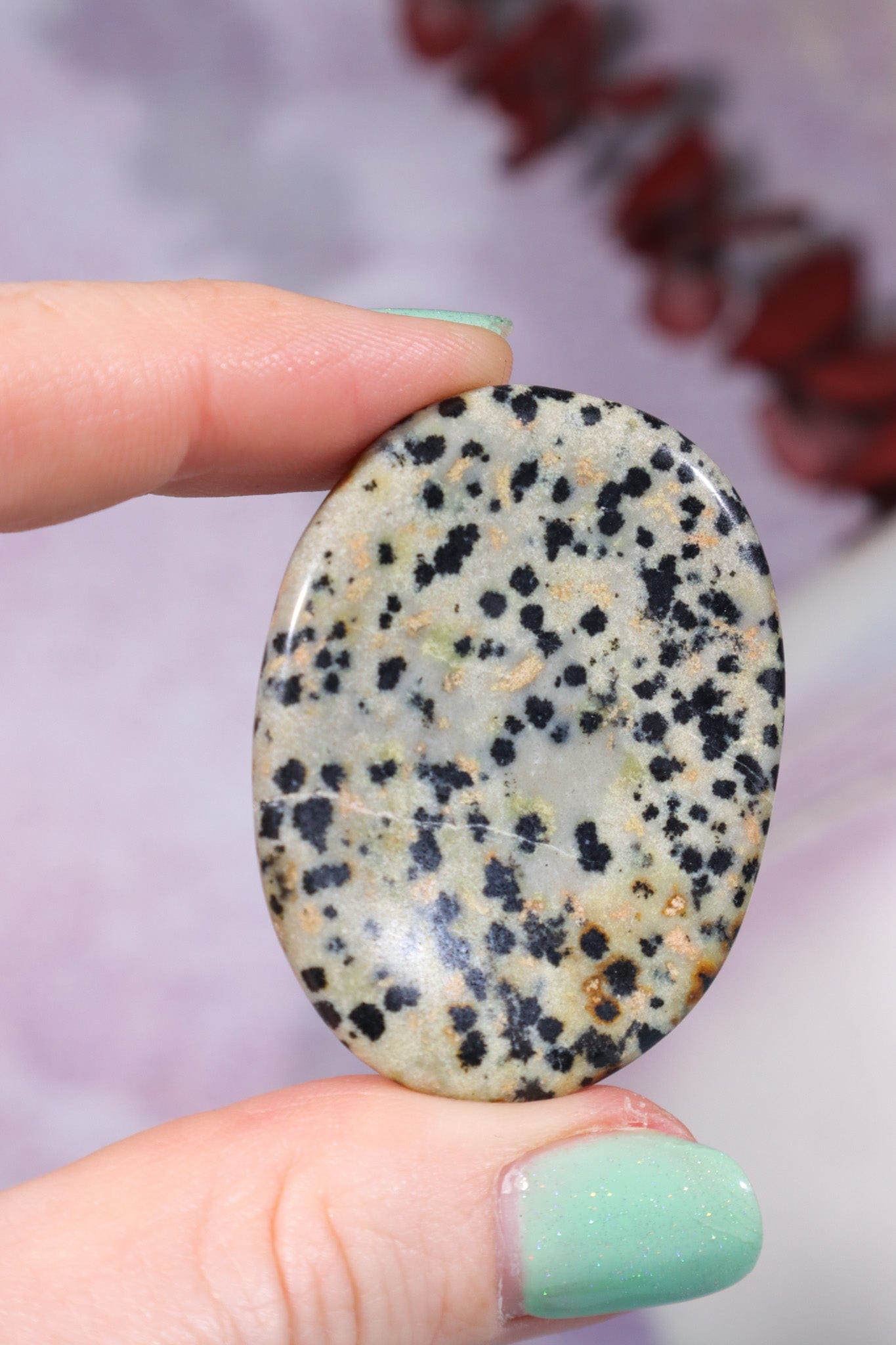 Dalmatian Jasper Worry Stones Palm Stones Tali & Loz Crystals