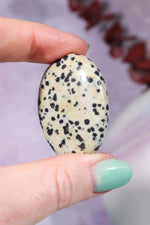 Dalmatian Jasper Worry Stones Palm Stones Tali & Loz Crystals