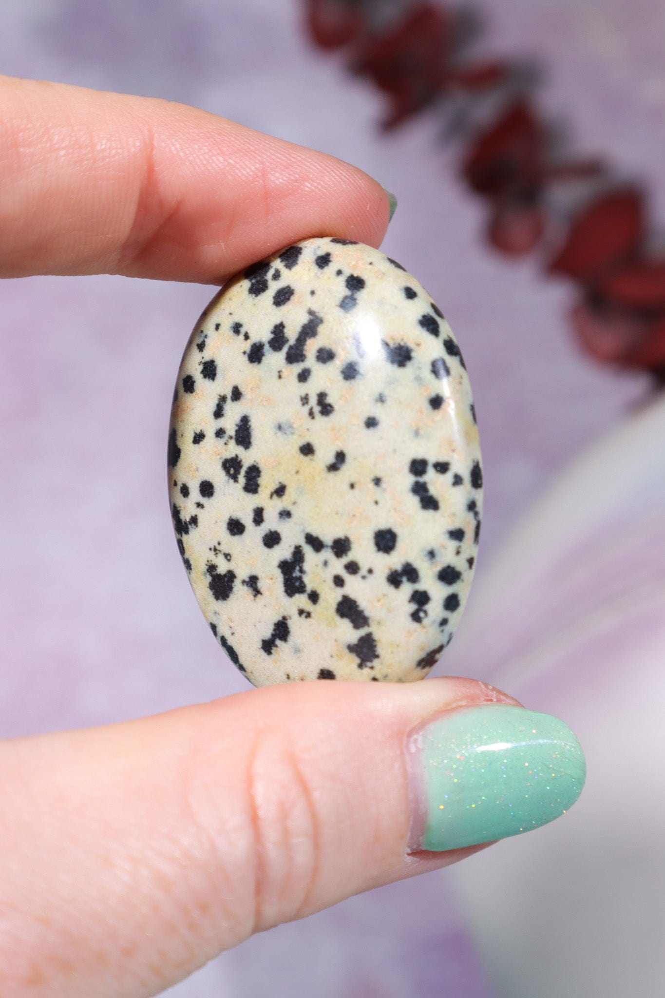 Dalmatian Jasper Worry Stones Palm Stones Tali & Loz Crystals