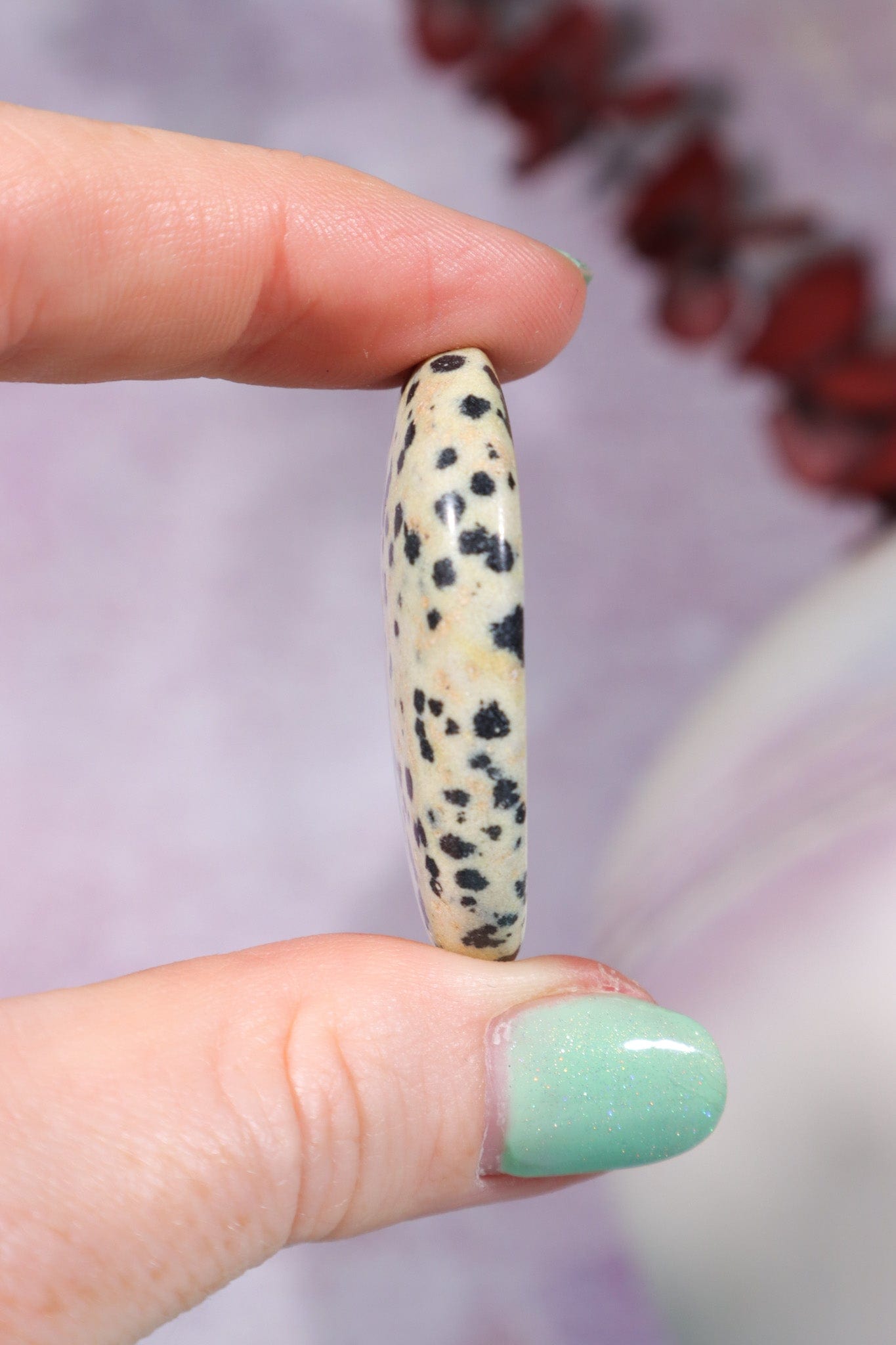 Dalmatian Jasper Worry Stones Palm Stones Tali & Loz Crystals