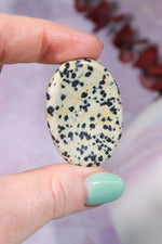 Dalmatian Jasper Worry Stones Palm Stones Tali & Loz Crystals