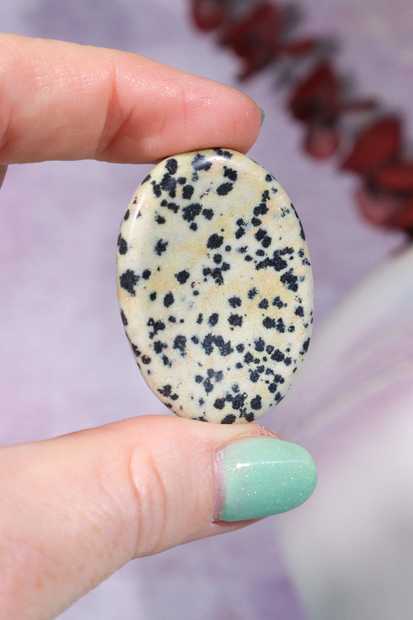 Dalmatian Jasper Worry Stones Palm Stones Tali & Loz Crystals