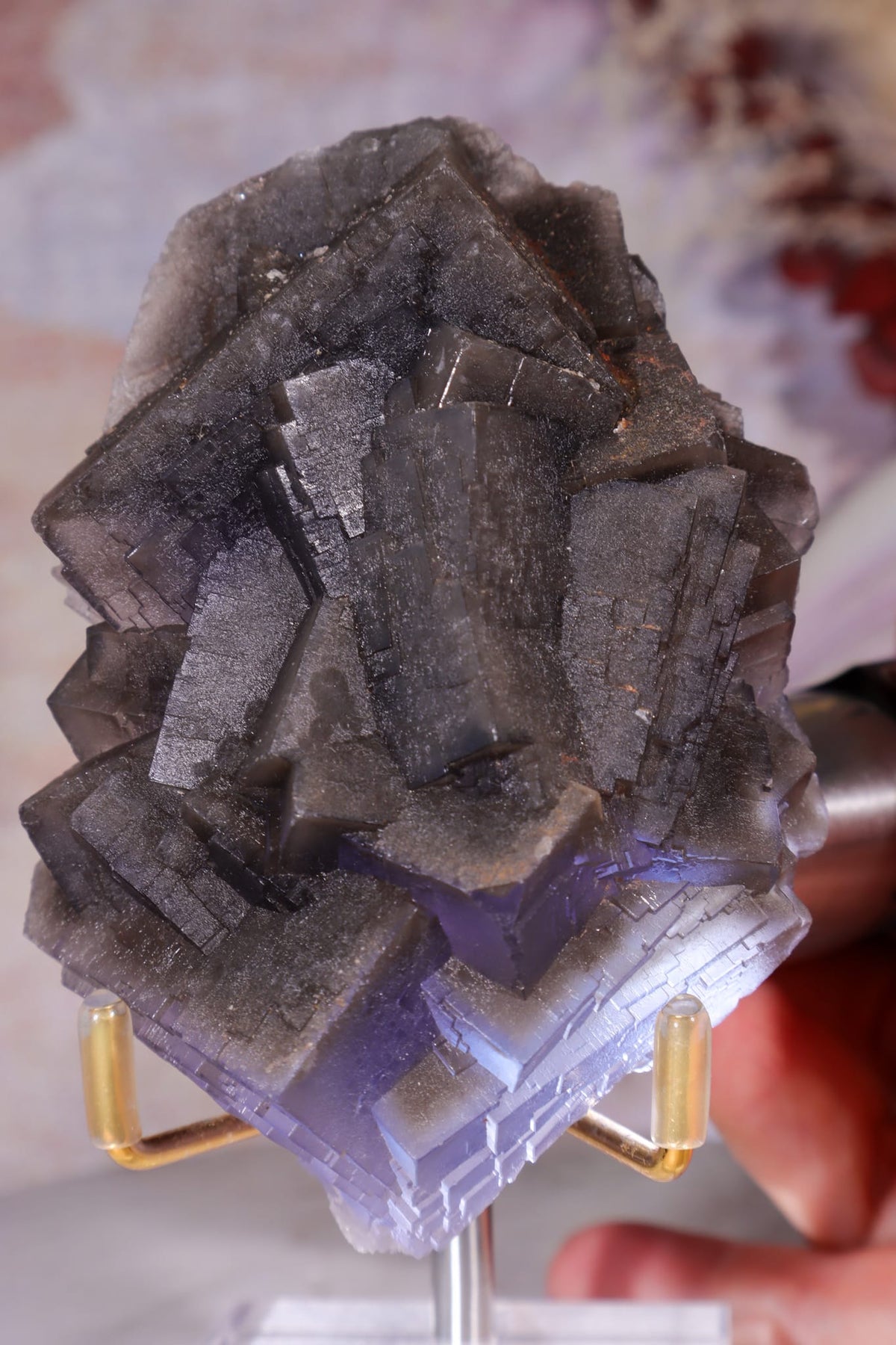 Dark Smoky Fluorite Cluster | Kharan District, Balochistan | Pakistan Minerals Tali & Loz