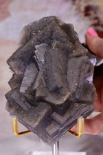 Dark Smoky Fluorite Cluster | Kharan District, Balochistan | Pakistan Minerals Tali & Loz