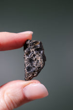 Darwin Glass Tektites - Tali & Loz Crystals