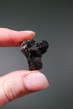 Darwin Glass Tektites - Tali & Loz Crystals