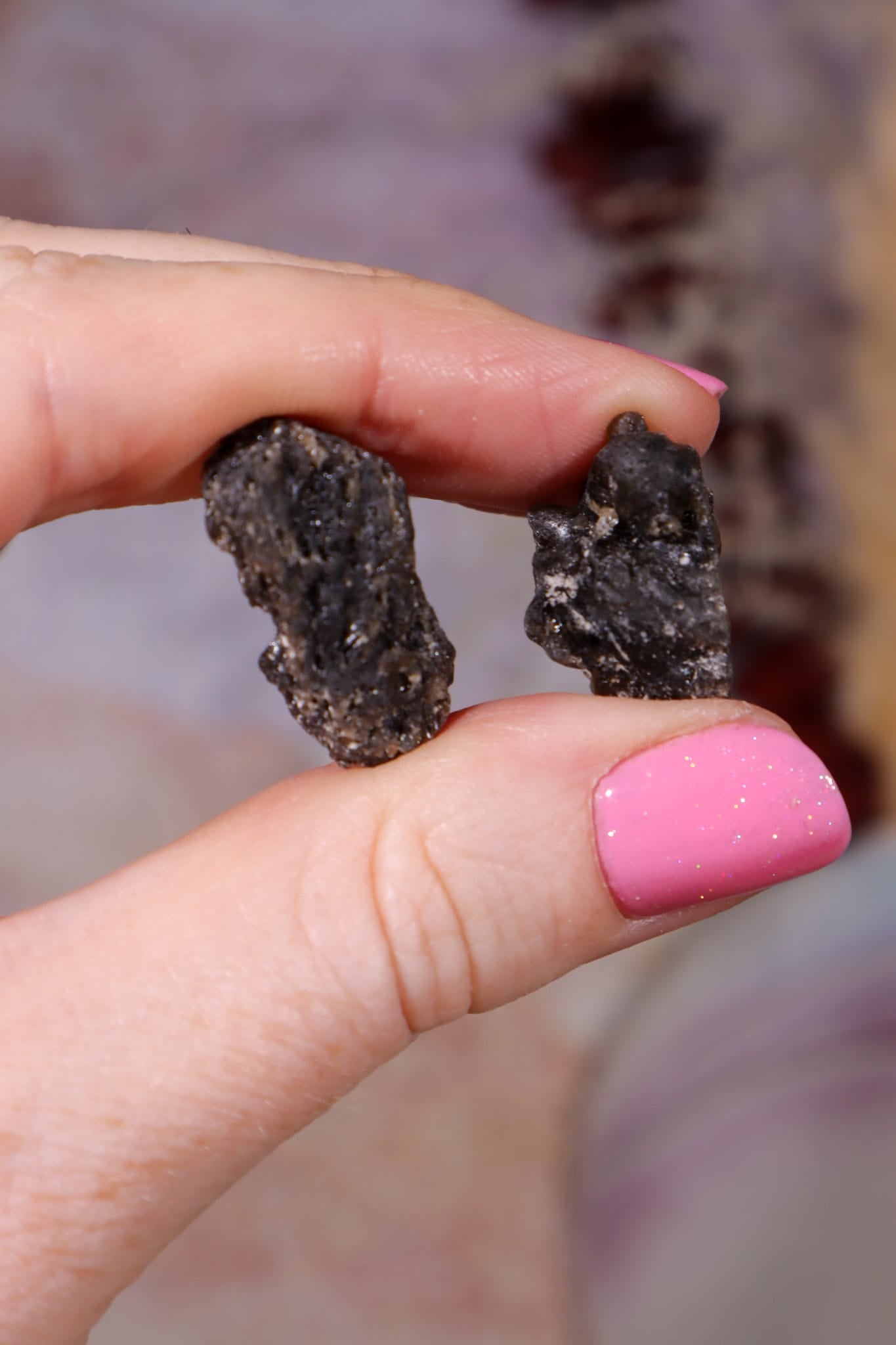 Darwin Glass Tektites | 10-20mm | Tasmania, Australia Tektites Tali & Loz Crystals