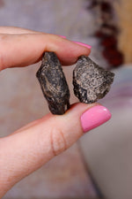 Darwin Glass Tektites | 10-20mm | Tasmania, Australia Tektites Tali & Loz Crystals