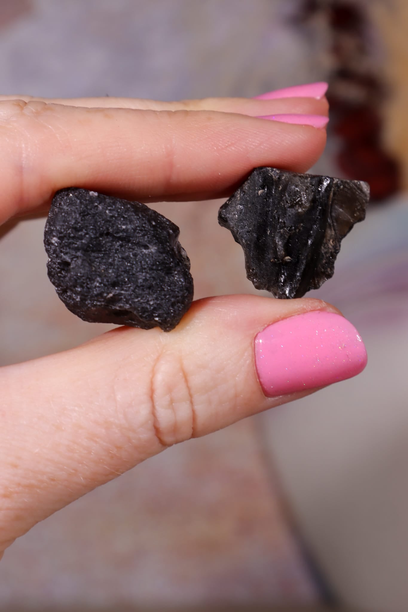 Darwin Glass Tektites | 10-20mm | Tasmania, Australia Tektites Tali & Loz Crystals