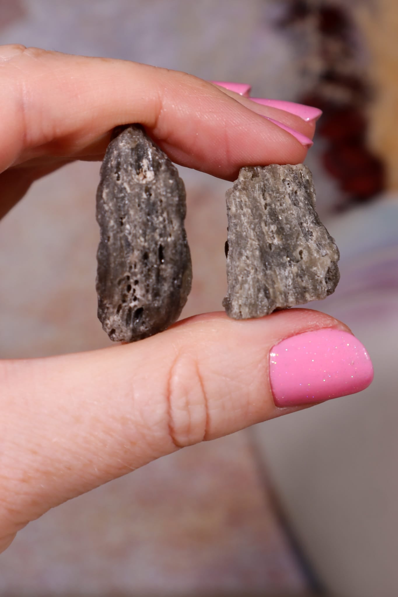 Darwin Glass Tektites | 10-20mm | Tasmania, Australia Tektites Tali & Loz Crystals