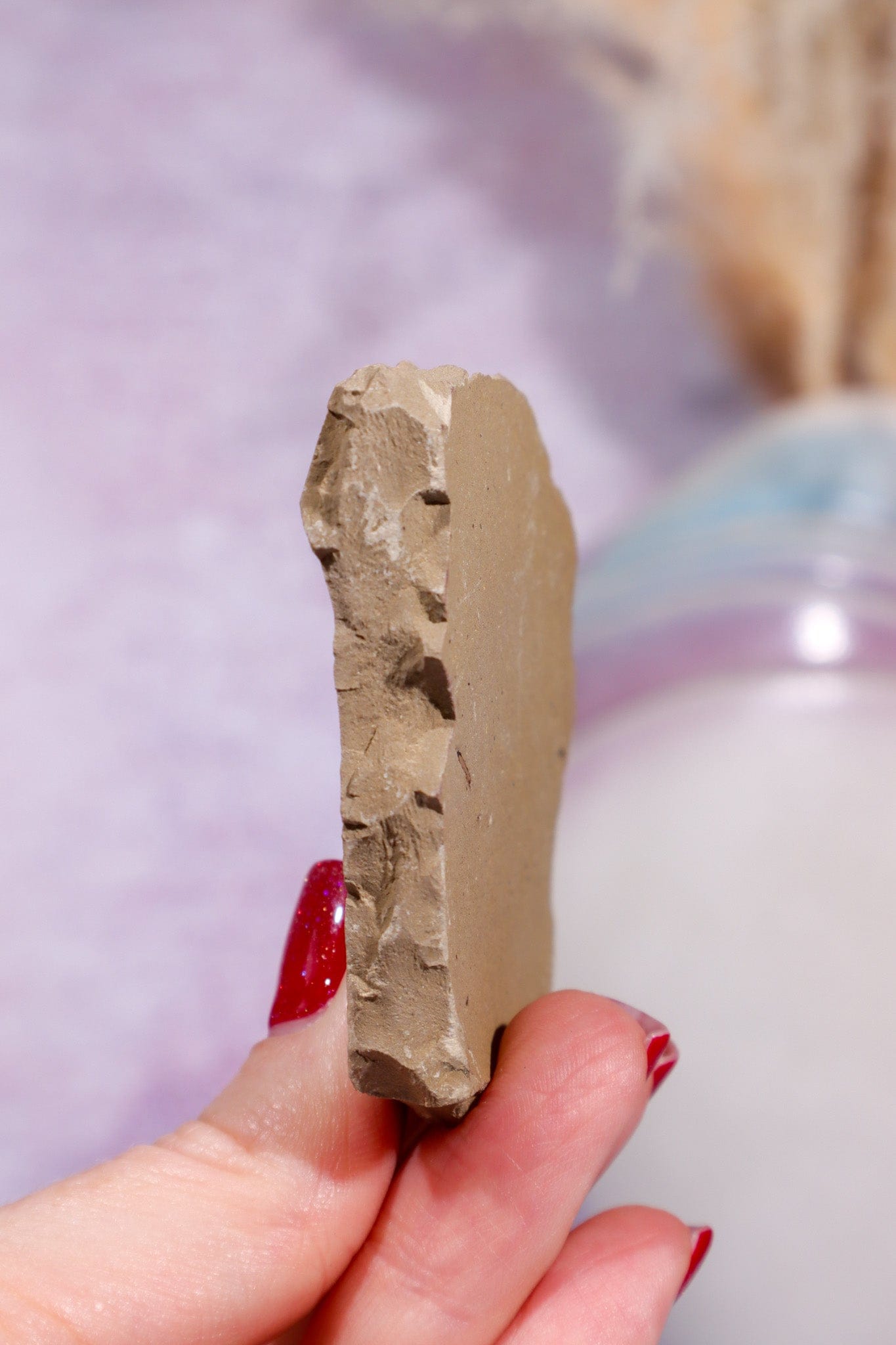 Dawn Redwood Metasequoia Plant Fossil 42gr, USA Fossil Tali & Loz Crystals