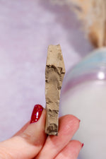 Dawn Redwood Metasequoia Plant Fossil 42gr, USA Fossil Tali & Loz Crystals