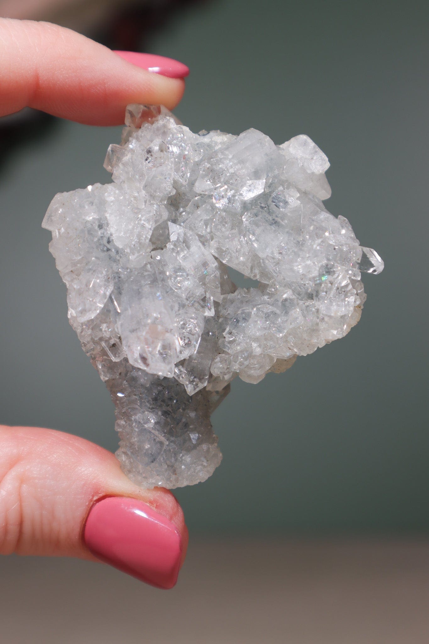 Diamond Apophyllite Cluster 5.5cm, Sold As Seen Specimens Tali & Loz Crystals