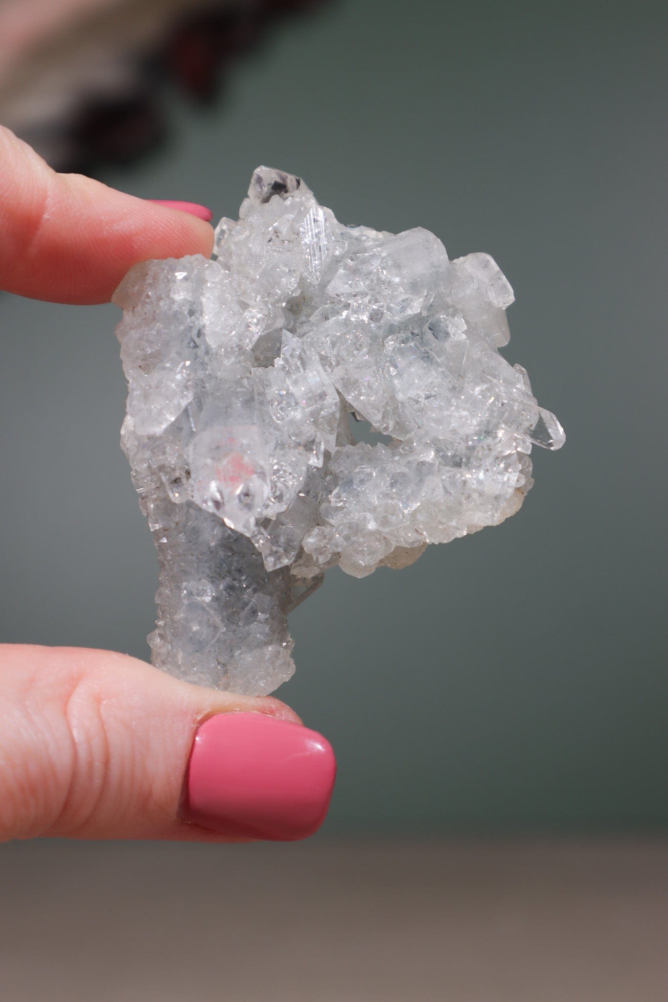 Diamond Apophyllite Cluster 5.5cm, Sold As Seen Specimens Tali & Loz Crystals