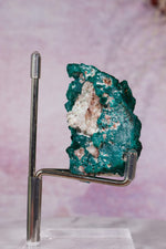 Dioptase Mineral Specimen | 4.8cm | DRC Minerals Tali & Loz Crystals