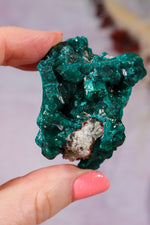 Dioptase Mineral Specimen | 4.8cm | DRC Minerals Tali & Loz Crystals