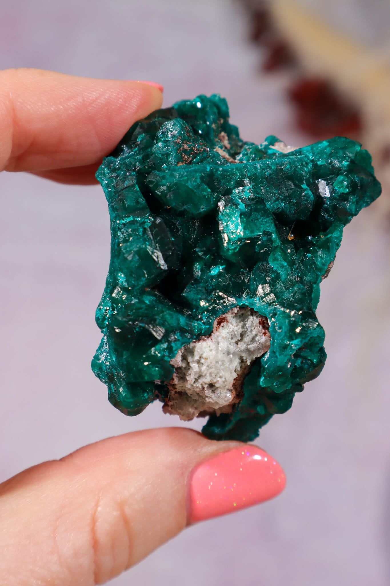 Dioptase Mineral Specimen | 4.8cm | DRC Minerals Tali & Loz Crystals