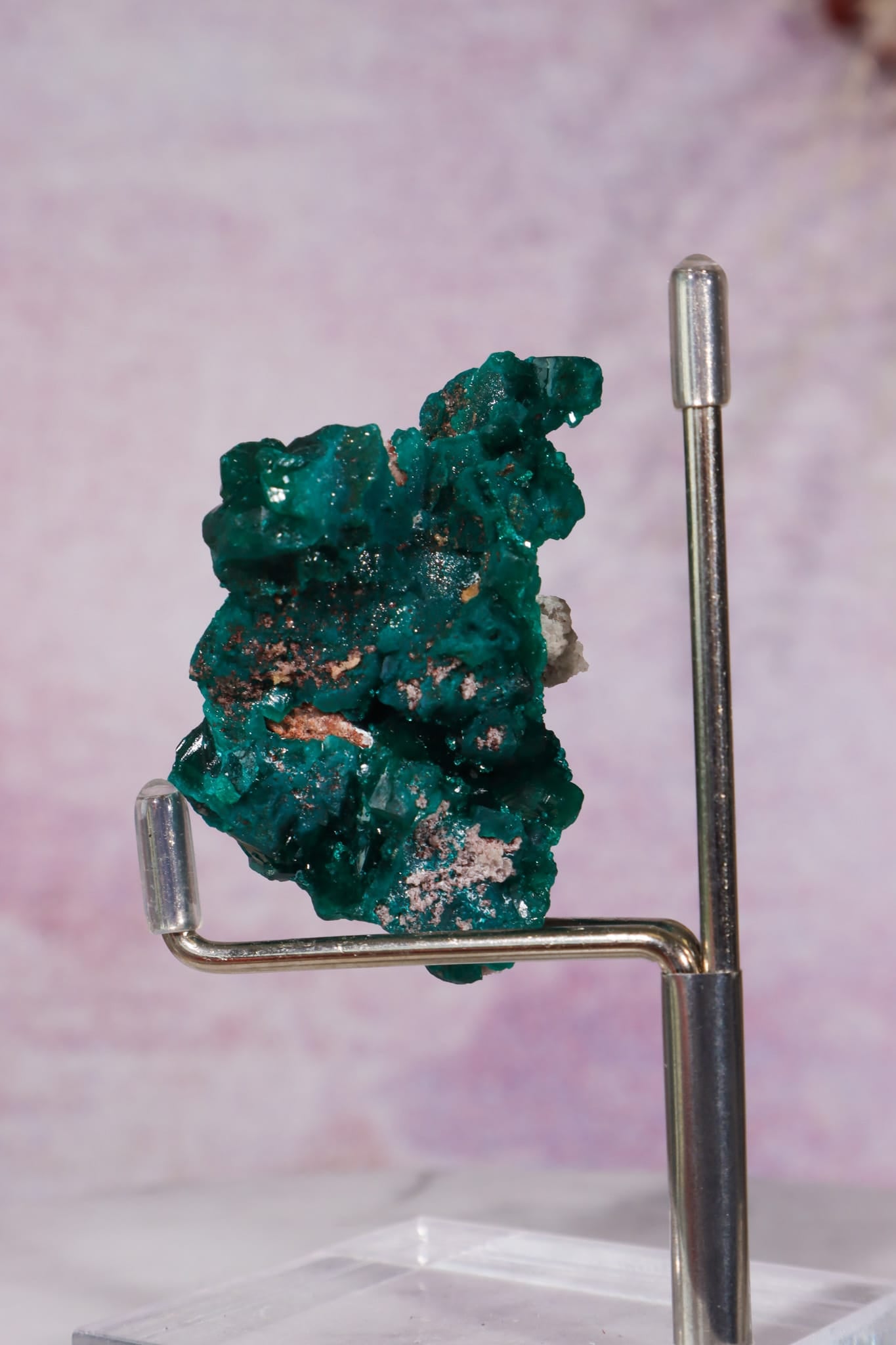 Dioptase Mineral Specimen | 4.8cm | DRC Minerals Tali & Loz Crystals