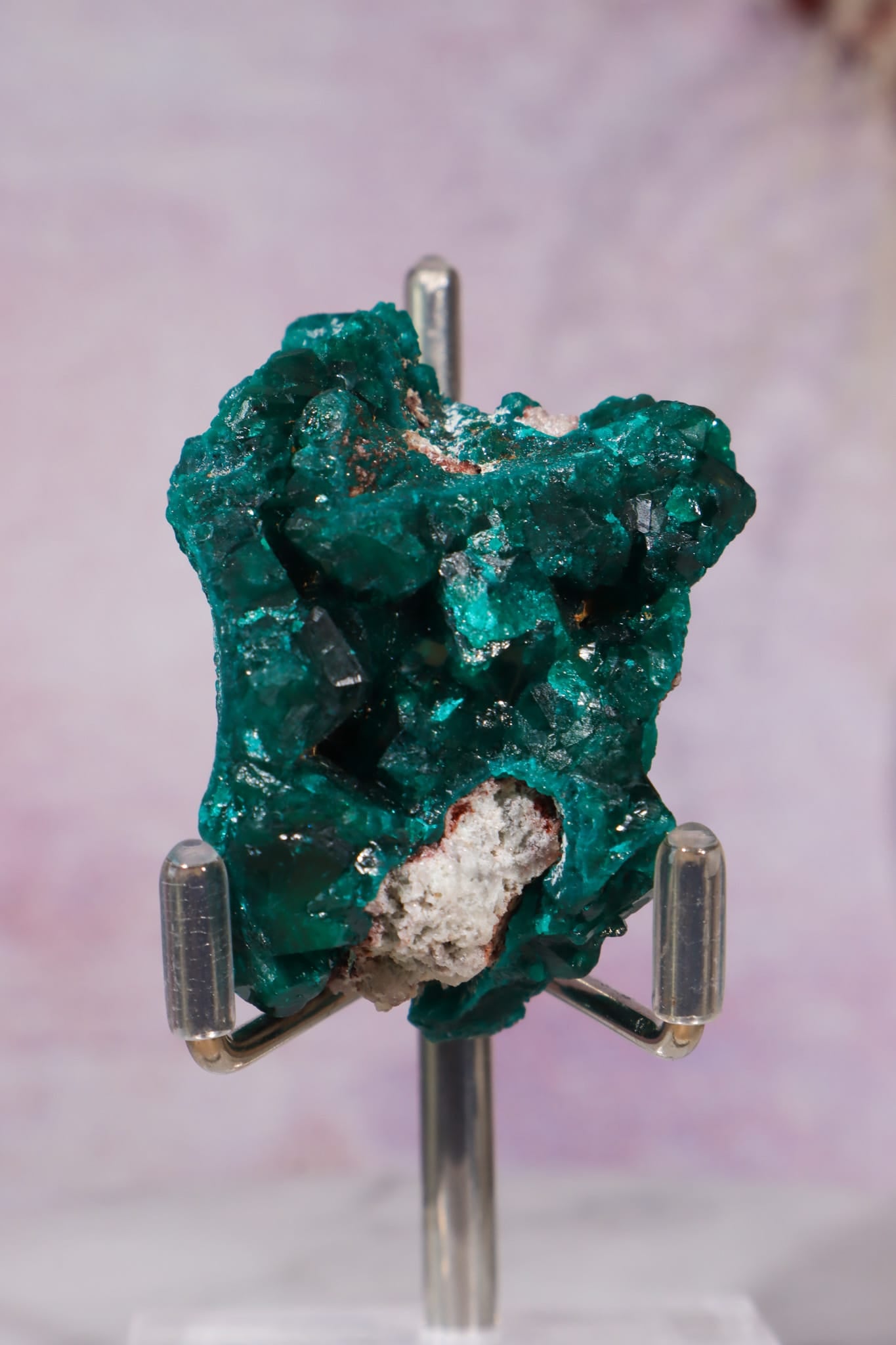 Dioptase Mineral Specimen | 4.8cm | DRC Minerals Tali & Loz Crystals
