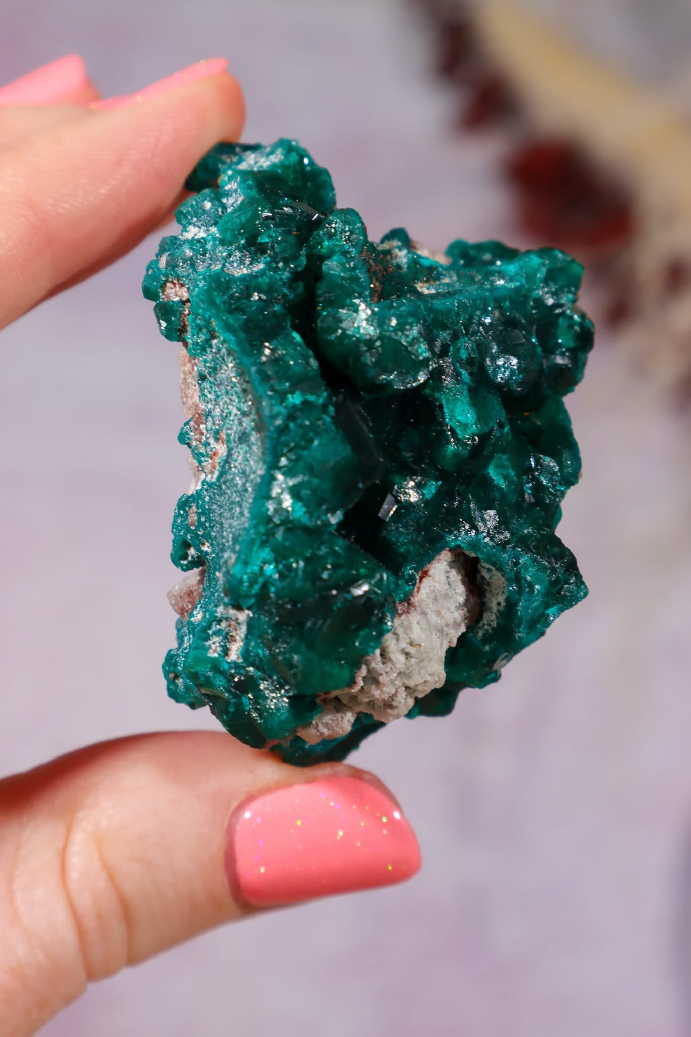 Dioptase Mineral Specimen | 4.8cm | DRC Minerals Tali & Loz Crystals