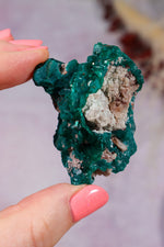 Dioptase Mineral Specimen | 4.8cm | DRC Minerals Tali & Loz Crystals