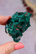 Dioptase Mineral Specimen | 4.8cm | DRC Minerals Tali & Loz Crystals
