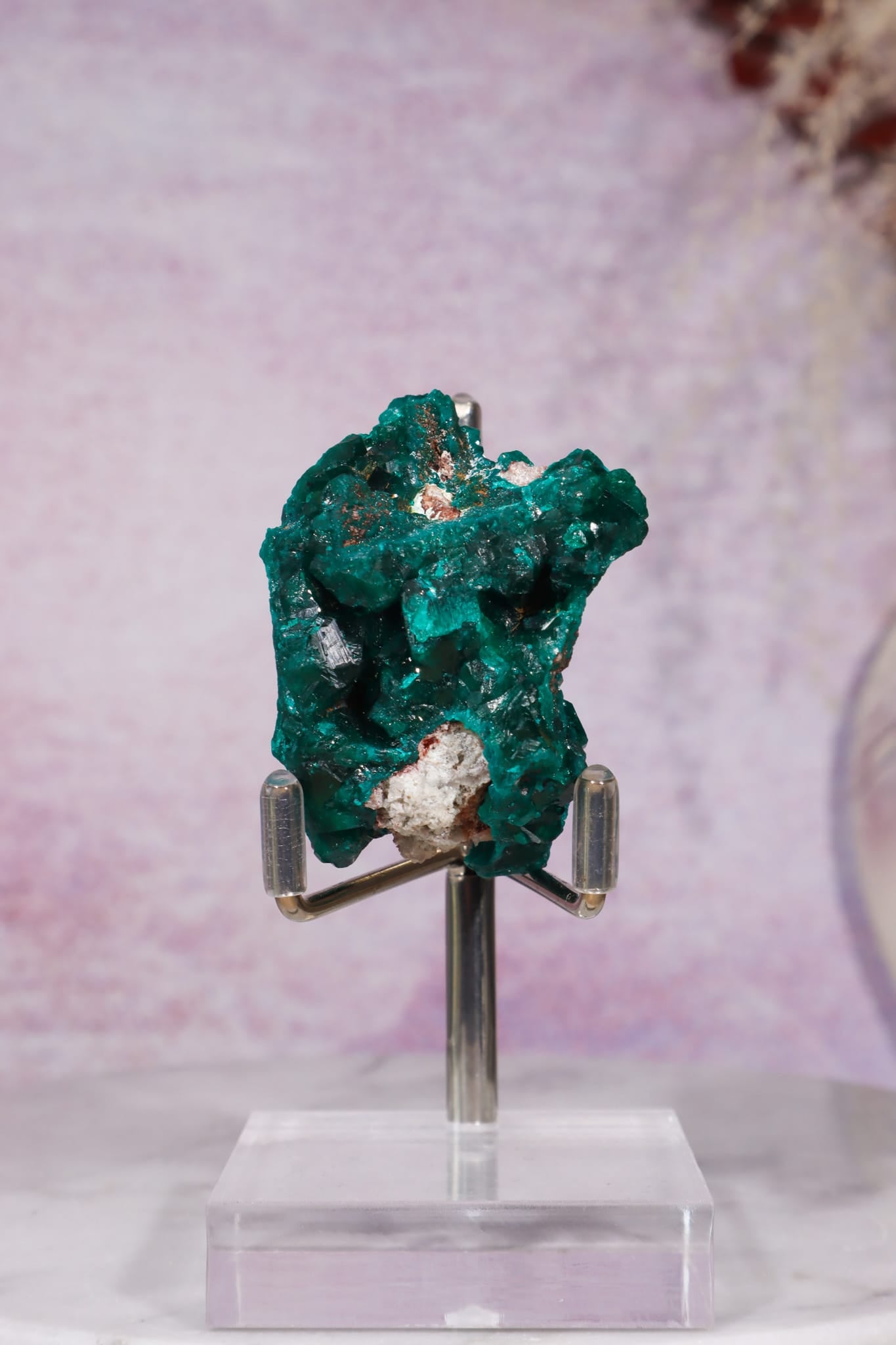 Dioptase Mineral Specimen | 4.8cm | DRC Minerals Tali & Loz Crystals