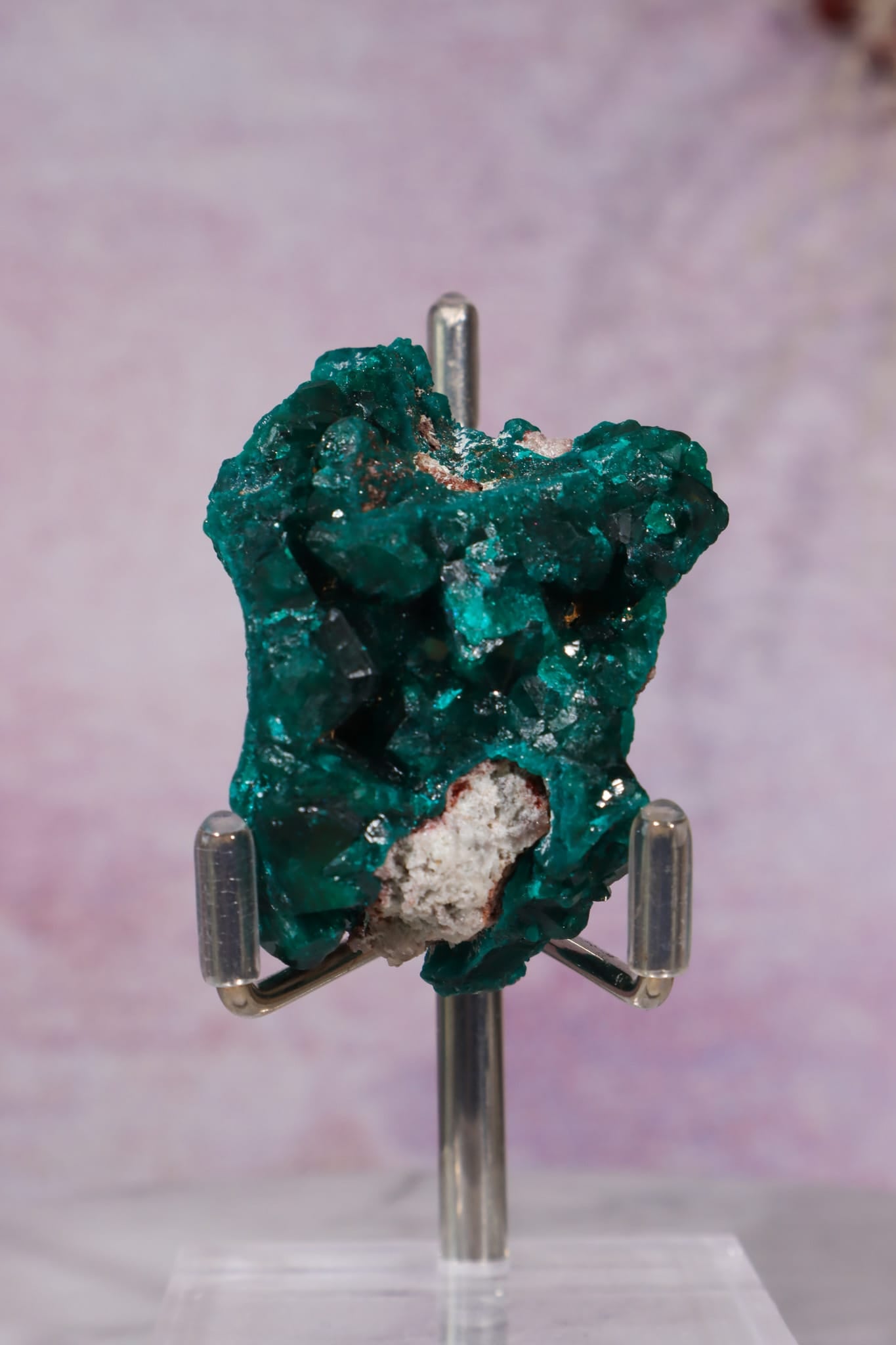 Dioptase Mineral Specimen | 4.8cm | DRC Minerals Tali & Loz Crystals