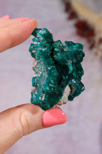 Dioptase Mineral Specimen | 4.8cm | DRC Minerals Tali & Loz Crystals