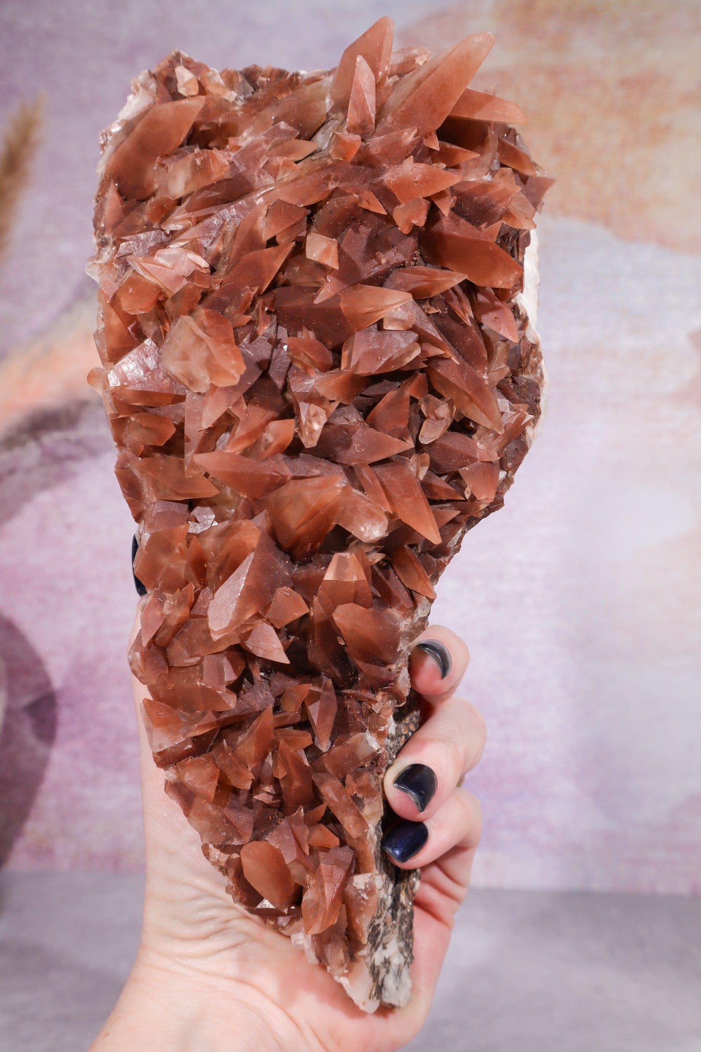 Dogtooth Calcite Specimen, 24cm Specimens Tali & Loz Crystals