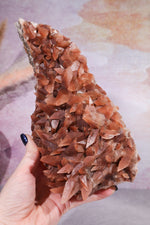 Dogtooth Calcite Specimen, 24cm Specimens Tali & Loz Crystals