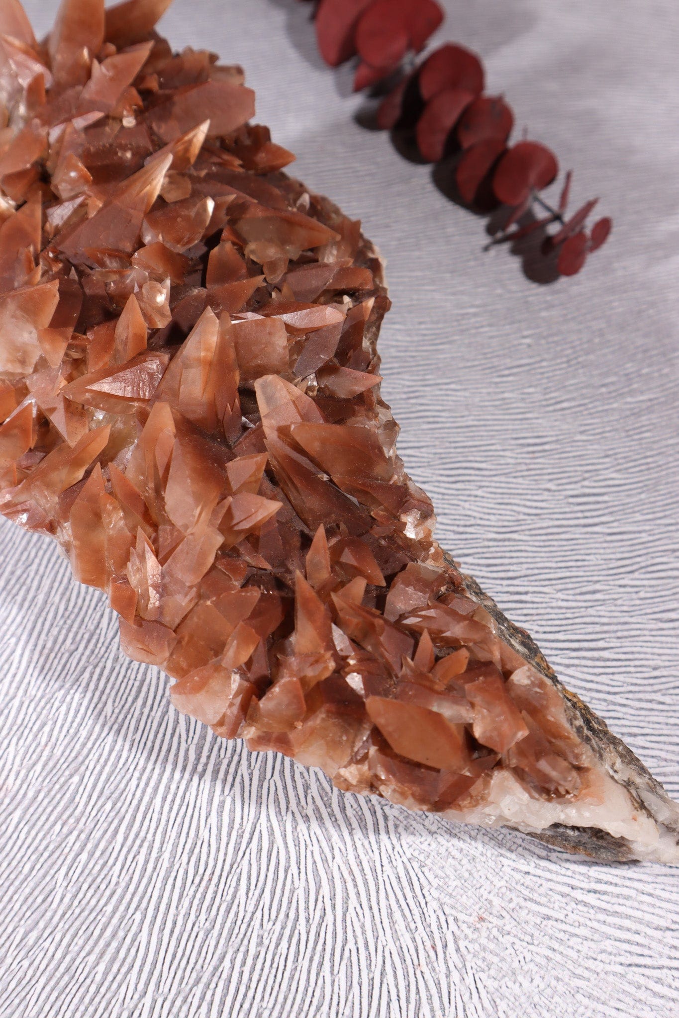 Dogtooth Calcite Specimen, 24cm Specimens Tali & Loz Crystals
