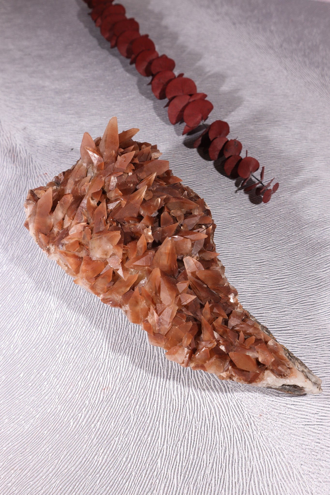 Dogtooth Calcite Specimen, 24cm Specimens Tali & Loz Crystals