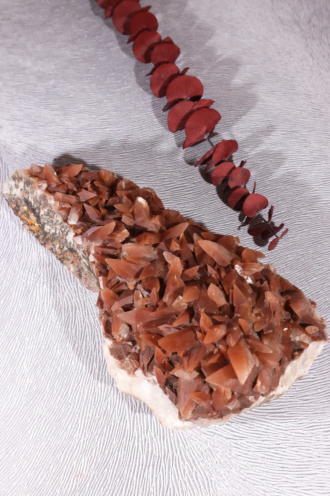 Dogtooth Calcite Specimen, 24cm Specimens Tali & Loz Crystals