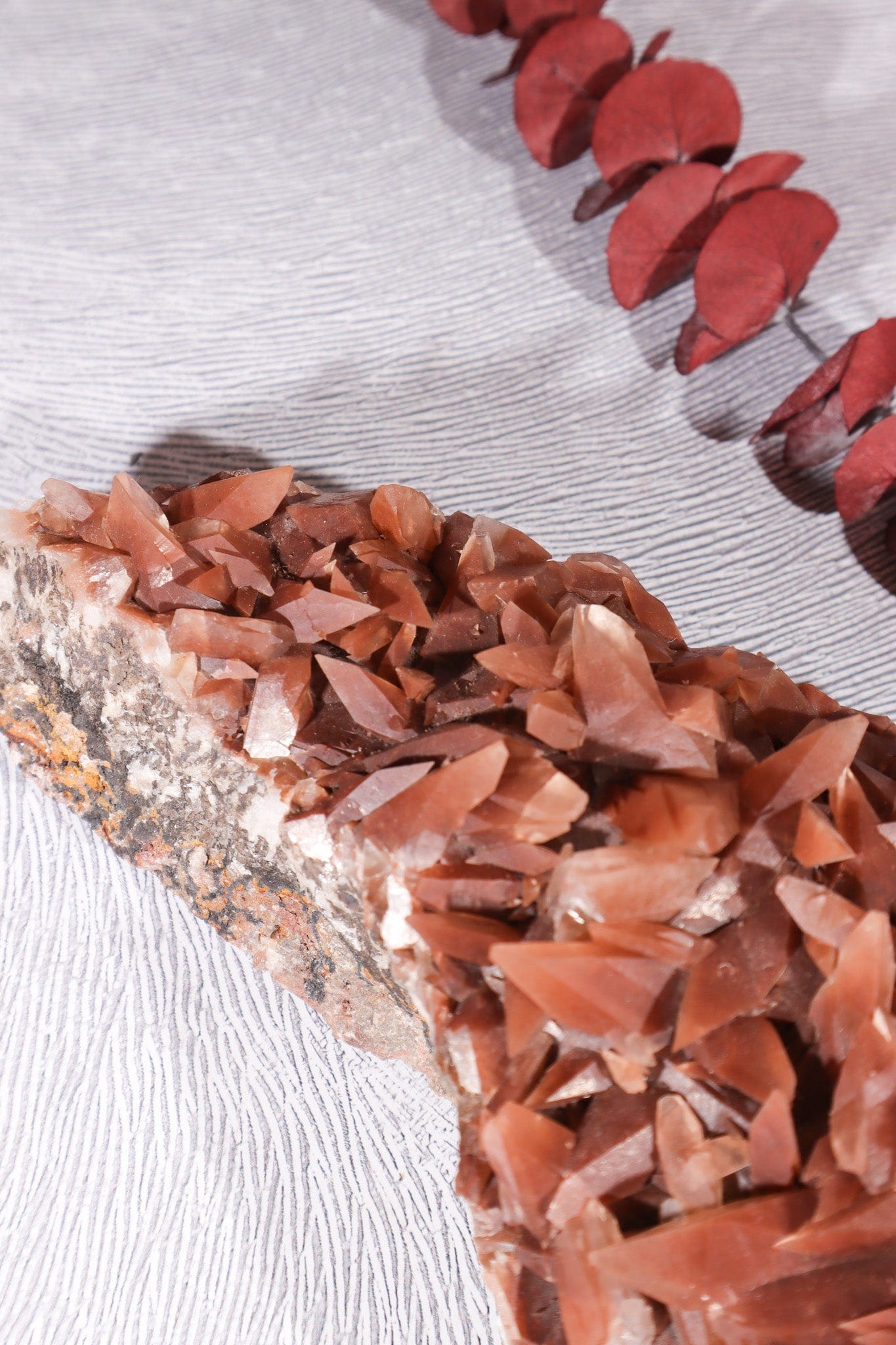 Dogtooth Calcite Specimen, 24cm Specimens Tali & Loz Crystals