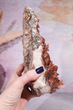 Dogtooth Calcite Specimen, 24cm Specimens Tali & Loz Crystals